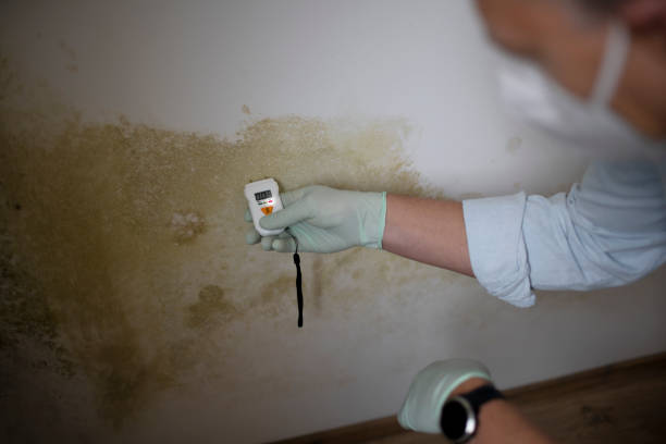 Best Crawl Space Mold Removal  in Auburn, GA